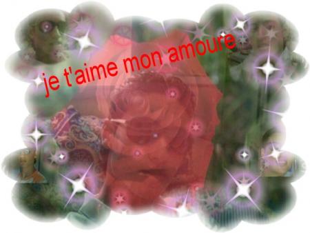 c pour toi mon amoure